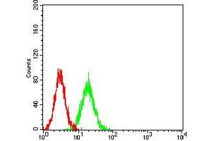 Flow Cytometry (FACS) image for anti-Tumor Necrosis Factor Receptor Superfamily, Member 17 (TNFRSF17) antibody (ABIN5611185)
