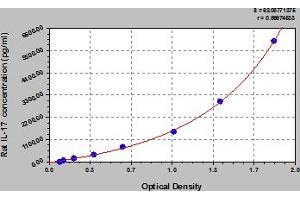 Interleukin 17a ELISA 试剂盒