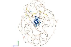 Protein Structure (PS) image for Natural Killer-Tumor Recognition Sequence (NKTR) (AA 1-1462) protein (His tag) (ABIN7554744)