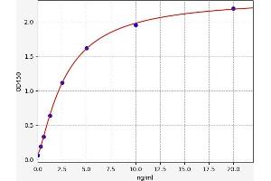 Typical standard curve (SLC25A12 ELISA 试剂盒)
