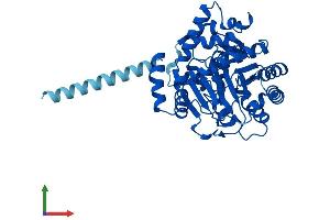 AlphaFold protein structure predicition of Mouse Recombinant Dhodh Protein, UniprotID O35435 (DHODH Protein (AA 1-395) (His tag))
