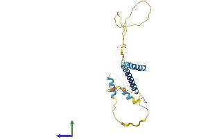 AlphaFold protein structure predicition of Human Recombinant IER2 Protein, UniprotID Q9BTL4 (IER2 Protein (AA 1-223) (His tag))
