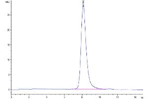 Size-exclusion chromatography-High Pressure Liquid Chromatography (SEC-HPLC) image for Interleukin 23 Receptor (IL23R) (AA 24-374) protein (His tag) (ABIN7275041)