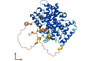 AlphaFold protein structure predicition of Human Recombinant SESN2 Protein, UniprotID P58004