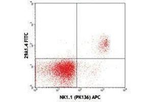 Flow Cytometry (FACS) image for anti-Natural Cytotoxicity Triggering Receptor 1 (NCR1) antibody (FITC) (ABIN2661679) (NCR1 抗体  (FITC))