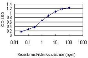 Detection limit for recombinant GST tagged TCFL5 is approximately 0. (TCFL5 抗体  (AA 418-500))