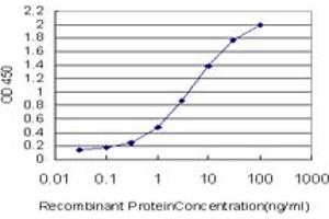 Detection limit for recombinant GST tagged MAPK9 is approximately 0. (JNK2 抗体  (AA 321-424))