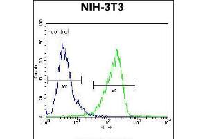 Flow cytometric analysis of NIH-3T3 cells (right histogram) compared to a negative control cell (left histogram). (CNN3 抗体  (AA 129-158))