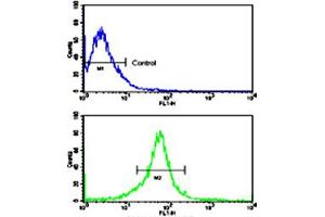 Flow cytometric analysis of MCF-7 cells using MMP14 polyclonal antibody (bottom histogram) compared to a negative control cell (top histogram). (MMP14 抗体  (N-Term))