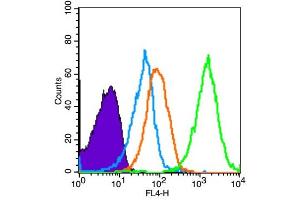 Mouse spleen cells probed with AMPK alpha-1 Polyclonal Antibody, unconjugated  at 1:100 dilution for 30 minutes compared to control cells (blue) and isotype control (orange) (PRKAA1 抗体  (AA 351-450))