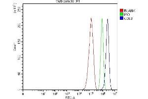 Flow Cytometry analysis of RT4 cells using anti-ADAM22 antibody (ABIN7600519).