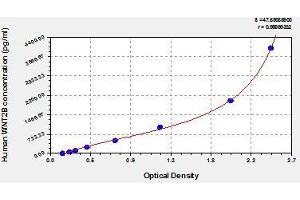 Typical standard curve (WNT2B ELISA 试剂盒)