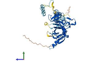 Protein Structure (PS) image for Small Nuclear RNA Activating Complex, Polypeptide 3, 50kDa (SNAPC3) (AA 1-407) protein (His tag) (ABIN7560909)