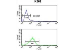 Flow Cytometry (FACS) image for anti-Neutrophil Cytosolic Factor 4, 40kDa (NCF4) antibody (ABIN3003340) (NCF4 抗体)