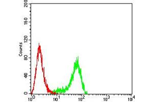 Flow cytometric analysis of Hela cells using PLXNA1 mouse mAb (green) and negative control (red). (Plexin A1 抗体  (AA 1100-1200))
