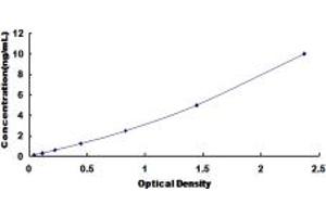 Typical standard curve (KISS1R ELISA 试剂盒)