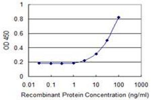 Detection limit for recombinant GST tagged RAB7L1 is 1 ng/ml as a capture antibody. (RAB7L1 抗体  (AA 1-203))