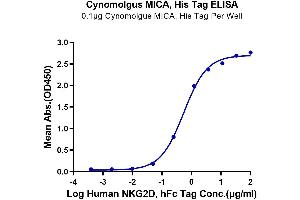 ELISA image for MHC Class I Polypeptide-Related Sequence A (MICA) (AA 1-284) protein (His tag) (ABIN7275254)