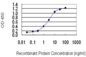 Detection limit for recombinant GST tagged ATOX1 is 0. (ATOX1 抗体  (AA 1-68))