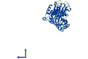 Protein Structure (PS) image for Ectonucleoside Triphosphate diphosphohydrolase 1 (ENTPD1) (AA 1-510) protein (His tag) (ABIN7547450)