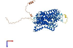 AlphaFold protein structure predicition of Mouse Recombinant Slc6a12 Protein, UniprotID P31651