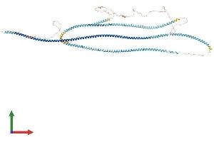 Protein Structure (PS) image for Synaptonemal Complex Protein 1 (SYCP1) (AA 1-993) protein (His tag) (ABIN7563952)