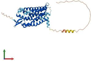 Protein Structure (PS) image for Lysophosphatidic Acid Receptor 5 (LPAR5) (AA 1-372) protein (His tag) (ABIN7549077)