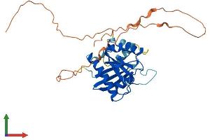 Protein Structure (PS) image for GTPase, IMAP Family Member 6 (GIMAP6) (AA 1-305) protein (His tag) (ABIN7559533)
