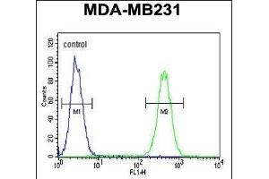 FKBP1A Antibody (C-term) (ABIN1882082 and ABIN2841885) flow cytometric analysis of MDA-M cells (right histogram) compared to a negative control cell (left histogram). (FKBP1A 抗体  (C-Term))