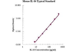 ELISA image for Interleukin 16 (IL16) ELISA Kit (ABIN3199224)