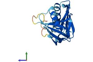 Protein Structure (PS) image for Heme Binding Protein 1 (HEBP1) (AA 1-189) protein (His tag) (ABIN7548219)