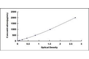 Typical standard curve (CCL4 ELISA 试剂盒)