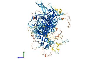 AlphaFold protein structure predicition of Human Recombinant PAN2 Protein, UniprotID Q504Q3