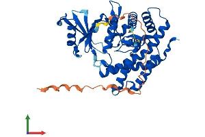 Protein Structure (PS) image for Ethanolamine Kinase 2 (ETNK2) (AA 1-386) protein (His tag) (ABIN7547344)
