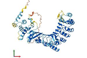 AlphaFold protein structure predicition of Human Recombinant PRAMEF27 Protein, UniprotID A3QJZ7