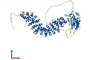 AlphaFold protein structure predicition of Human Recombinant ARMC3 Protein, UniprotID Q5W041 (ARMC3 Protein (AA 1-872) (His tag))