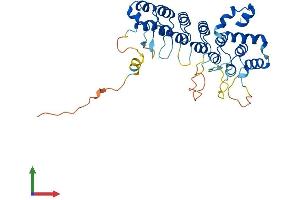 Protein Structure (PS) image for Ankyrin Repeat and SOCS Box-Containing 1 (ASB1) (AA 1-335) protein (His tag) (ABIN7552411)
