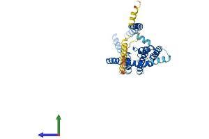 Protein Structure (PS) image for Potassium Channel Subfamily K Member 1 (KCNK1) (AA 1-336) protein (His tag) (ABIN7554302)