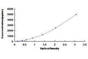 Dipeptidyl-Peptidase 9 (DPP9) ELISA Kit