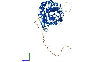 Protein Structure (PS) image for Ornithine Decarboxylase 1 (ODC1) (AA 1-461) protein (His tag) (ABIN7546979)