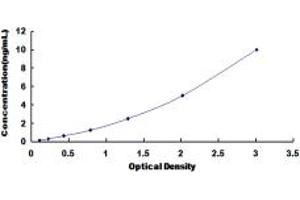 Typical standard curve (NPSR1 ELISA 试剂盒)