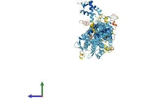 Protein Structure (PS) image for Anaphase Promoting Complex Subunit 2 (ANAPC2) (AA 1-837) protein (His tag) (ABIN7564477)