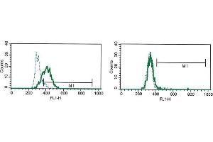 Flow Cytometry (FACS) image for anti-Interleukin-27 Subunit alpha (IL27) antibody (ABIN1107834) (IL27 抗体)
