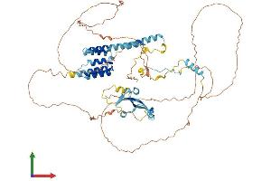 Protein Structure (PS) image for Cytoskeleton Associated Protein 2 (CKAP2) (AA 1-664) protein (His tag) (ABIN7557345)
