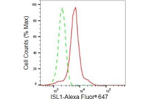 Flow cytometric analysis of ISL1 expression in HeLa cells using ISL1 antibody (ABIN7799130), 1:2,000). (Recombinant ISL1 抗体)