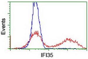 HEK293T cells transfected with either RC200929 overexpress plasmid (Red) or empty vector control plasmid (Blue) were immunostained by anti-IFI35 antibody (ABIN2454905), and then analyzed by flow cytometry. (IFI35 抗体)
