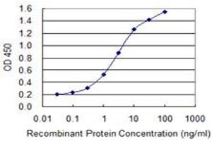Detection limit for recombinant GST tagged TEAD3 is 0. (TEAD3 抗体  (AA 215-302))