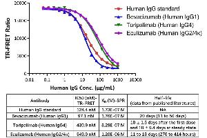 The half-lives of these 3 monoclonal antibodies currently in clinical use generally correlate with the binding affinity to FcRn. (人 FcRn binding Kit (TR-FRET))