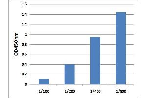 5MedCyd ELISA Standard Curve. (Global DNA Methylation ELISA 试剂盒)