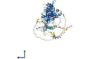 AlphaFold protein structure predicition of Mouse Recombinant Mta1 Protein, UniprotID Q8K4B0